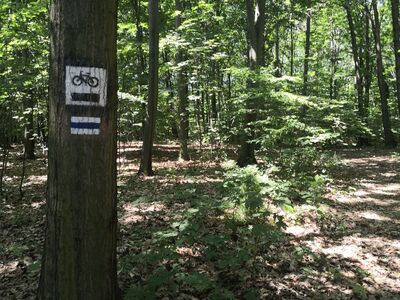 Za Golejowem Siedliskami, leśna droga do Ochojca, nowe oznakowanie