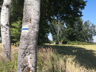 Sonderwerk w tle (niemiecki schron bojowy)