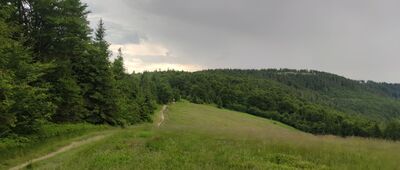 Hala Kamińskiego ↔ Kolisty Groń