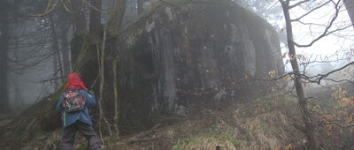 Šerlišský Mlýn ↔ Rozejście szlaków [bunkry]