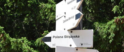 Czerwona Przełęcz