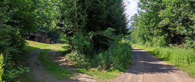 Bojanice, leśniczówka