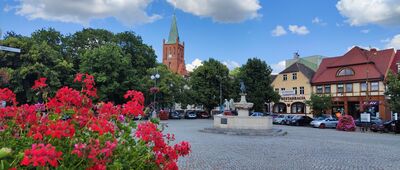 Źródełko Boży Dar ↔ Barlinek [Rynek w Barlinku]