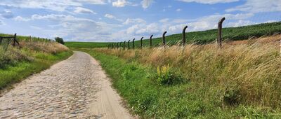 Sławno ↔ Skrzyżowanie [Droga ze Sławna do Brzozy]