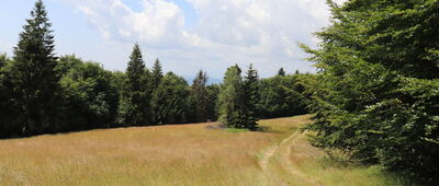 Łomnica Zdrój ↔ Łabowska Hala [Hala Skotarka]