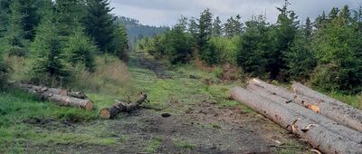 Schronisko Sowa ↔ Rozejście szlaków