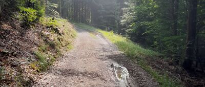 Schronisko Sowa ↔ Rozejście szlaków