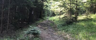Rozdroże Zamkowe ↔ Ruiny zamku Karpień, skrzyżowanie