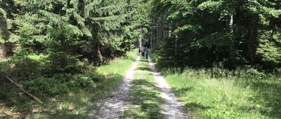 Pod Borówkową