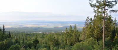 Rozejście szlaków ↔ Starý Smokovec, rozejście szlaków