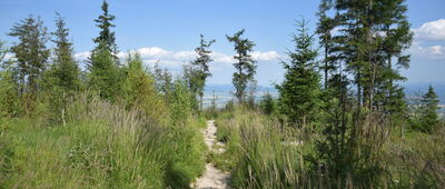 Hrebienok ↔ Rozejście szlaków