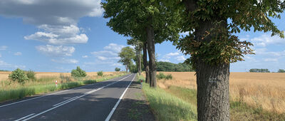 Janczewo ↔ Gralewo