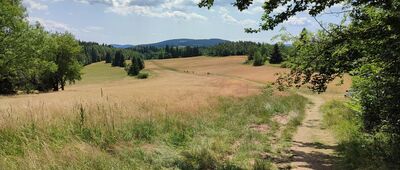 Młyńska ↔ Przełęcz Lądecka