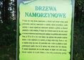 Boronów, ul. Wojska Polskiego ↔ Boronów [Boronów park]