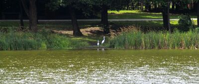 Rozejście szlaków ↔ Rezerwat Jedlnia [Zalew na Gzówce]