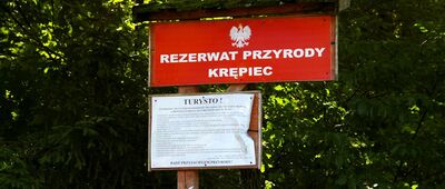 Polanka, plaża ↔ Polanka