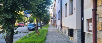 Żywiec, ul. 3 Maja ↔ Żywiec, ul. Kraszewskiego