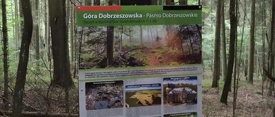 Kuźniaki ↔ Góra Dobrzeszowska