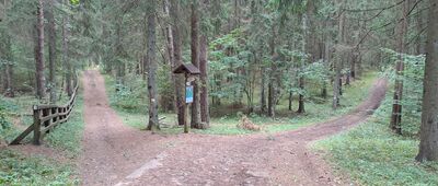 Ścieżka spacerowa "Dąbek"