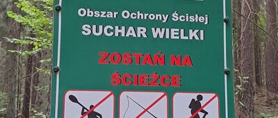 Ścieżka spacerowa "Dąbek" ↔ Jezioro Suchar Wielki