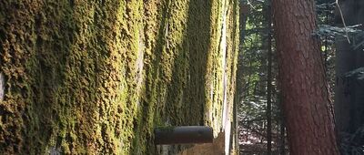 Rozejście szlaków ↔ Rozejście szlaków