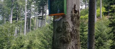 Rzyki, Praciaki ↔ Rozejście szlaków pod Smrekowicą
