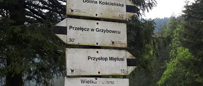Rozejście szlaków