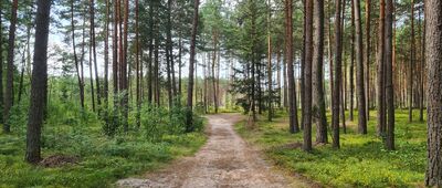 Rozejście szlaków ↔ Rezerwat Nad Tanwią