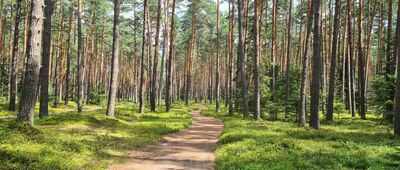 Rozejście szlaków ↔ Rezerwat Nad Tanwią