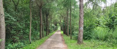 Tartaczna Góra ↔ Zwierzyniec, ul. Partyzantów