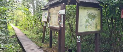 Stare Załucze, granica parku narodowego