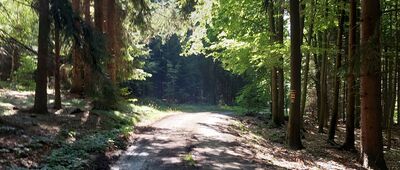 Honské sedlo ↔ Pod Strážnou horou