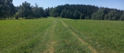 Kutný vrch, sedlo ↔ Ostružná, Continental [Czerwony szlak w stronę Kutnego Wierchu]