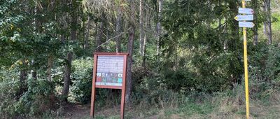 Sedlo pod Kráľovou