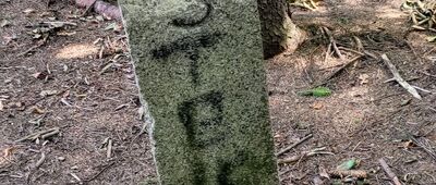 Przełęcz Krowiarki ↔ Cyl Hali Śmietanowej [Słupek graniczny dawnej granicy niemiecko-słowackiej (II wojna światowa)]