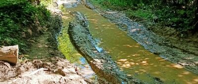 Górzanka, rozejście szlaków ↔ Czaków