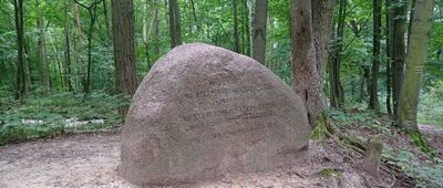 Głaz Adama Wodziczki [Głaz Adama Wodziczki]