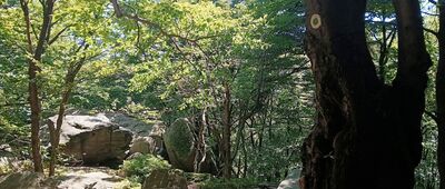 Rezerwat Kornuty, wychodnie skalne