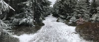 Wielka Sowa ↔ Rozdroże pod Wielką Sową