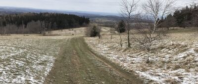 Przełęcz Walimska ↔ Rozwidlenie nad Glinnem