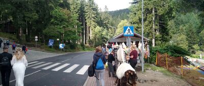 Karpacz, ul. Olimpijska