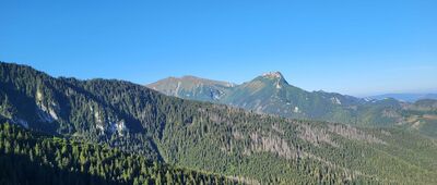 Odejście na Nosalową Przełęcz ↔ Przełęcz między Kopami (Karczmisko) [widok na Giewont]