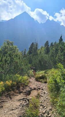 Widok z czerwonego szlaku w kierunku Huncovsky stit