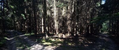 Pod Mladoňovským vrchem