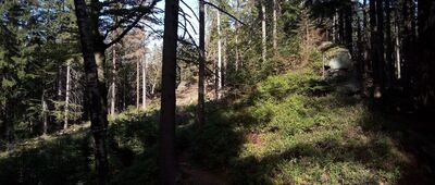 U Dobré nálady, bus ↔ Volyň