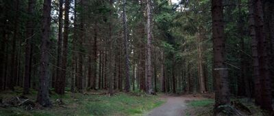 Pod Bílým kamenem ↔ Na Skřítku, rozc.