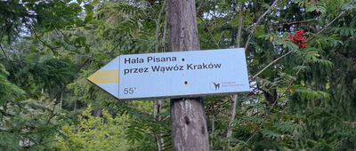 Wąwóz Kraków, odejście szlaku