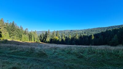Widok w kierunku północnym z Polany Zychowej