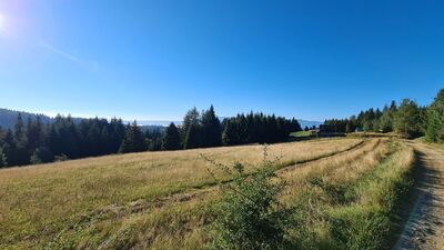 Widok w stronę Tatr z Polany Dziubasówki