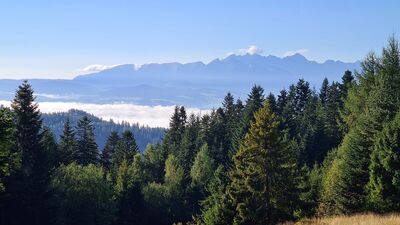 Widok w stronę Tatr z Polany Dziubasówki